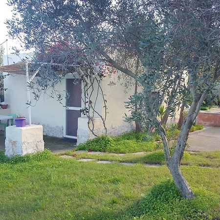 Borgo Degli Ulivi Depandance Villa Капотера Екстериор снимка